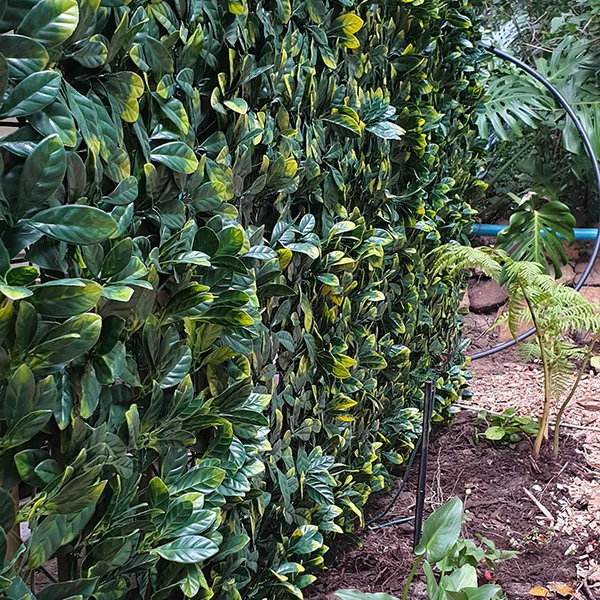 Wall and Fence Cladding