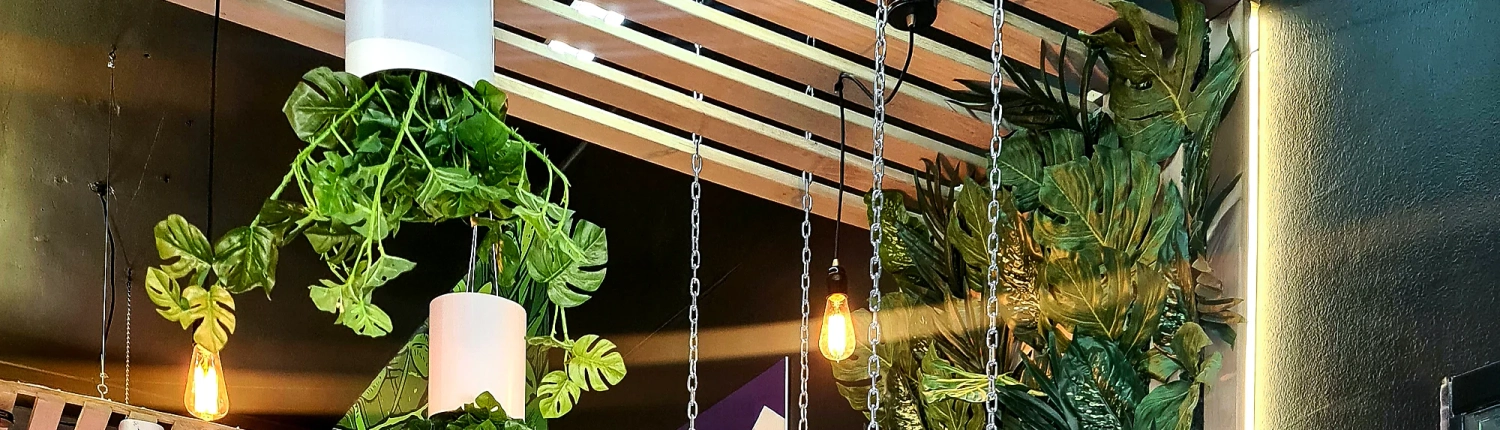 imgpsh_fullsize_anim-1_b67b6203-f7cd-493a-a405-722f0a068ee9