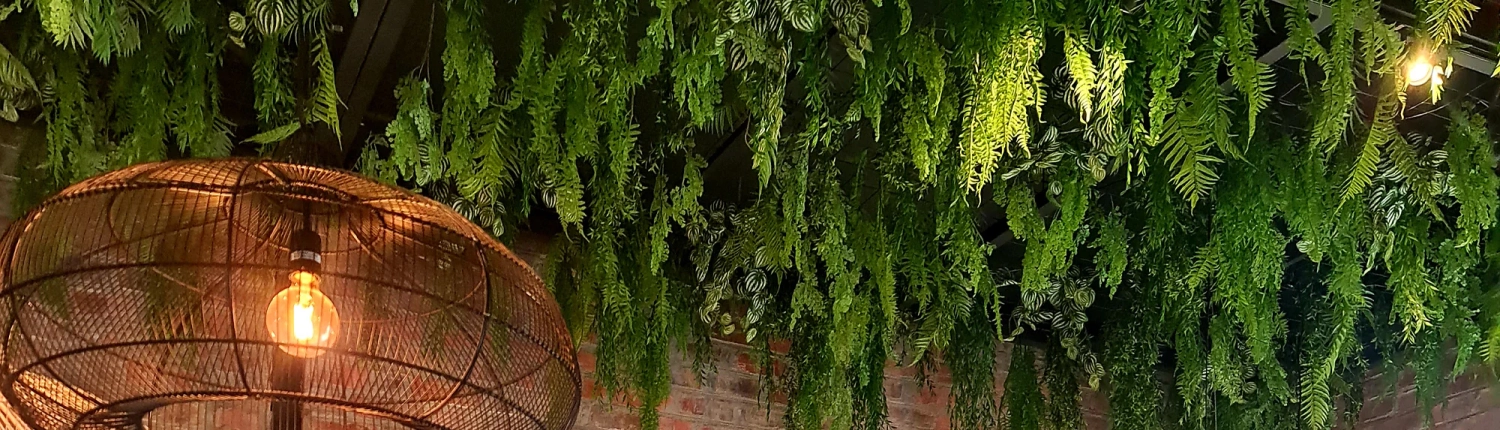 imgpsh_fullsize_anim_e015a188-fafa-4451-b3f8-1ebc3e477b41